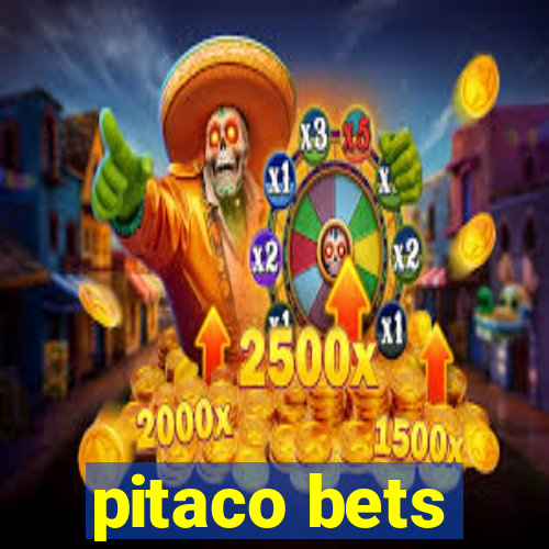 pitaco bets